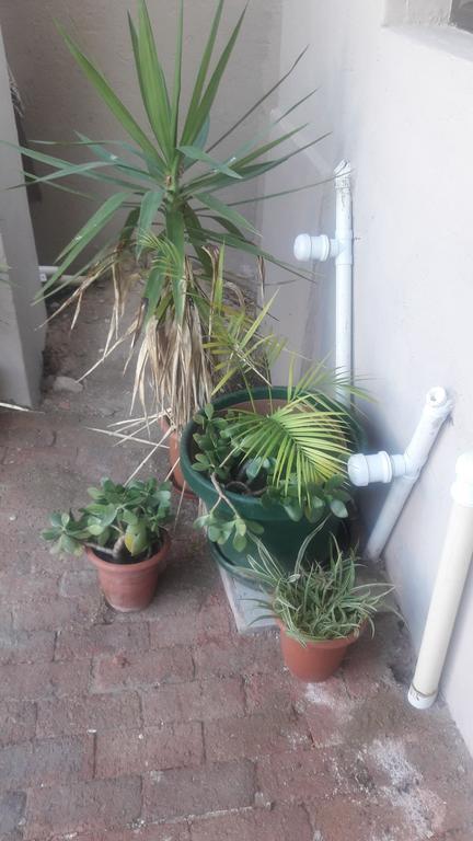 Self-Catering Studio, Unit 6 On Krupp Windhoek Buitenkant foto